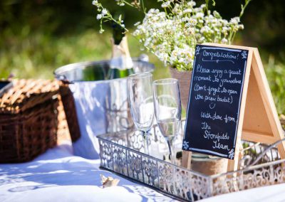 Wedding champagne picnic | Stonefields Heritage Farm | Themotions Photography